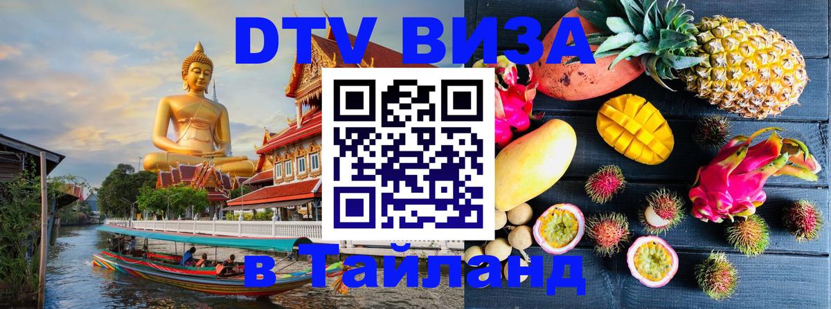 Оформление DTV визы под ключ: стоимость и тарифы, только загранпаспорт - Севастополь  09.01.2026 